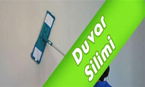 Duvar Silimi