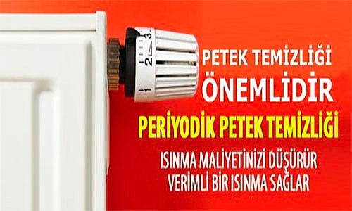 Petek Temizliği