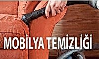 Mobilya Temizliği