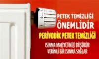 Petek Temizliği